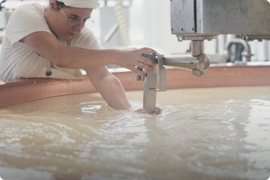 Elise Es Borrat, formation au brevet fédéral de technologue du lait.